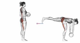 Medicine Ball Single Leg Deadlift