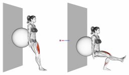 Stability Ball Single Leg Squat