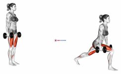 Transverse Plane Dumbbell Lunge