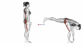 Single Leg Foot Touch