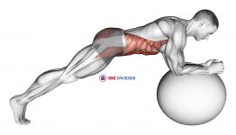Stability Ball Front Plank