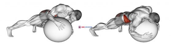 Prone Twist On Stability Ball