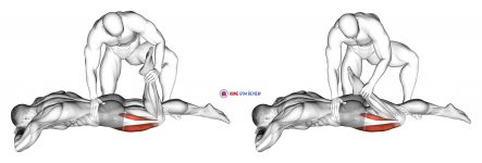 Assisted Prone Lying Quadriceps Stretch