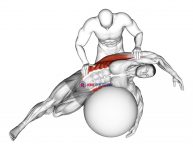 Assisted Oblique And Latissimus Dorsi Stretch On Stability Ball