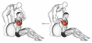 Assisted Seated Pectoralis Major Stretch With Stability Ball