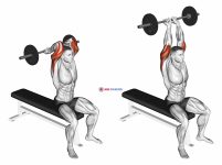 Barbell Seated Close grip Behind Neck Triceps Extension