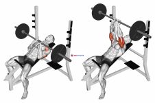 Barbell Incline Close Grip Bench Press