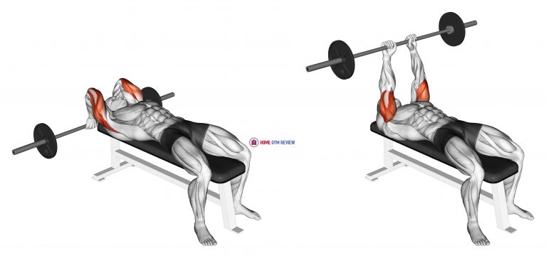 Barbell Lying Back of the Head Tricep Extension - Home Gym Review