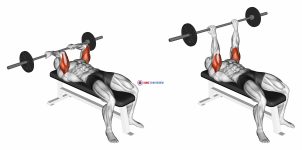 Barbell Reverse Grip Skullcrusher