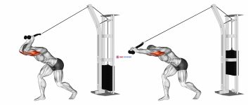 Cable High Pulley Overhead Tricep Extension