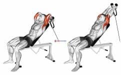 Cable Rope Incline Tricep Extension