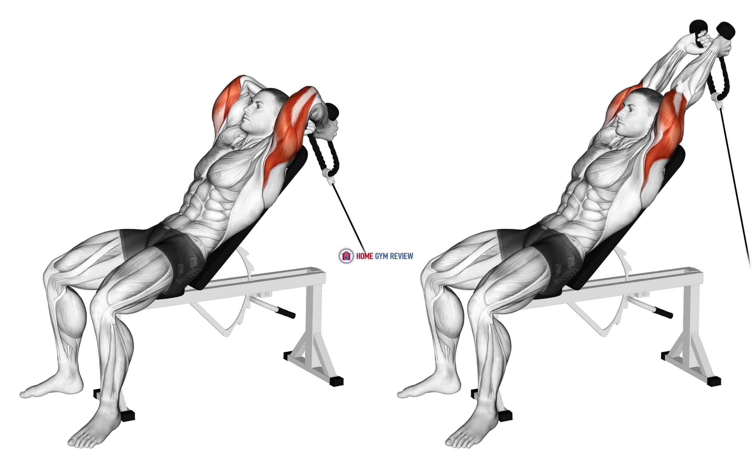 Cable Rope Incline Tricep Extension
