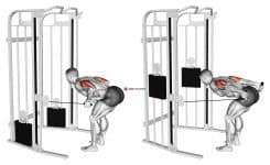 Cable Two Arm Tricep Kickback