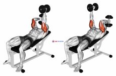 Dumbbell Lying Alternate Extension