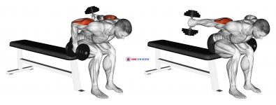 Dumbbell Seated Bent Over Alternate Kickback