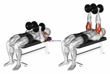 Dumbbell Close Grip Press
