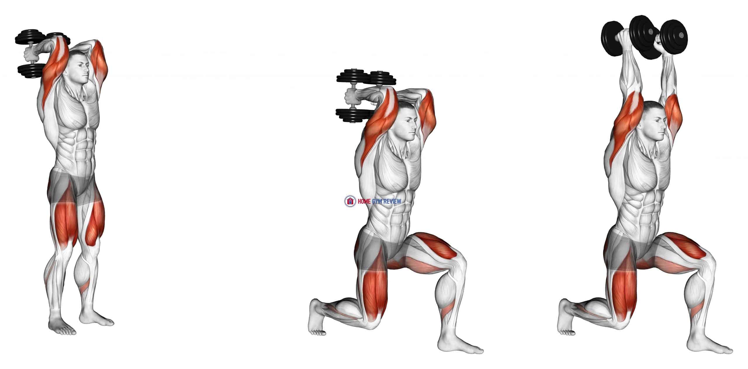 Dumbbell Forward Lunge Triceps Extension