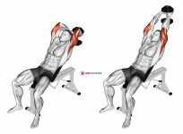 Dumbbell Incline Two Arm Extension