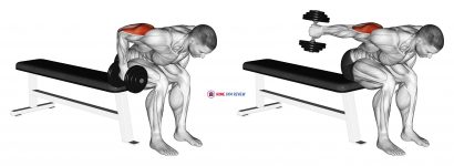 Dumbbell Seated Bent Over Triceps Extension