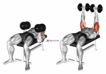 Dumbbell Twisting Bench Press