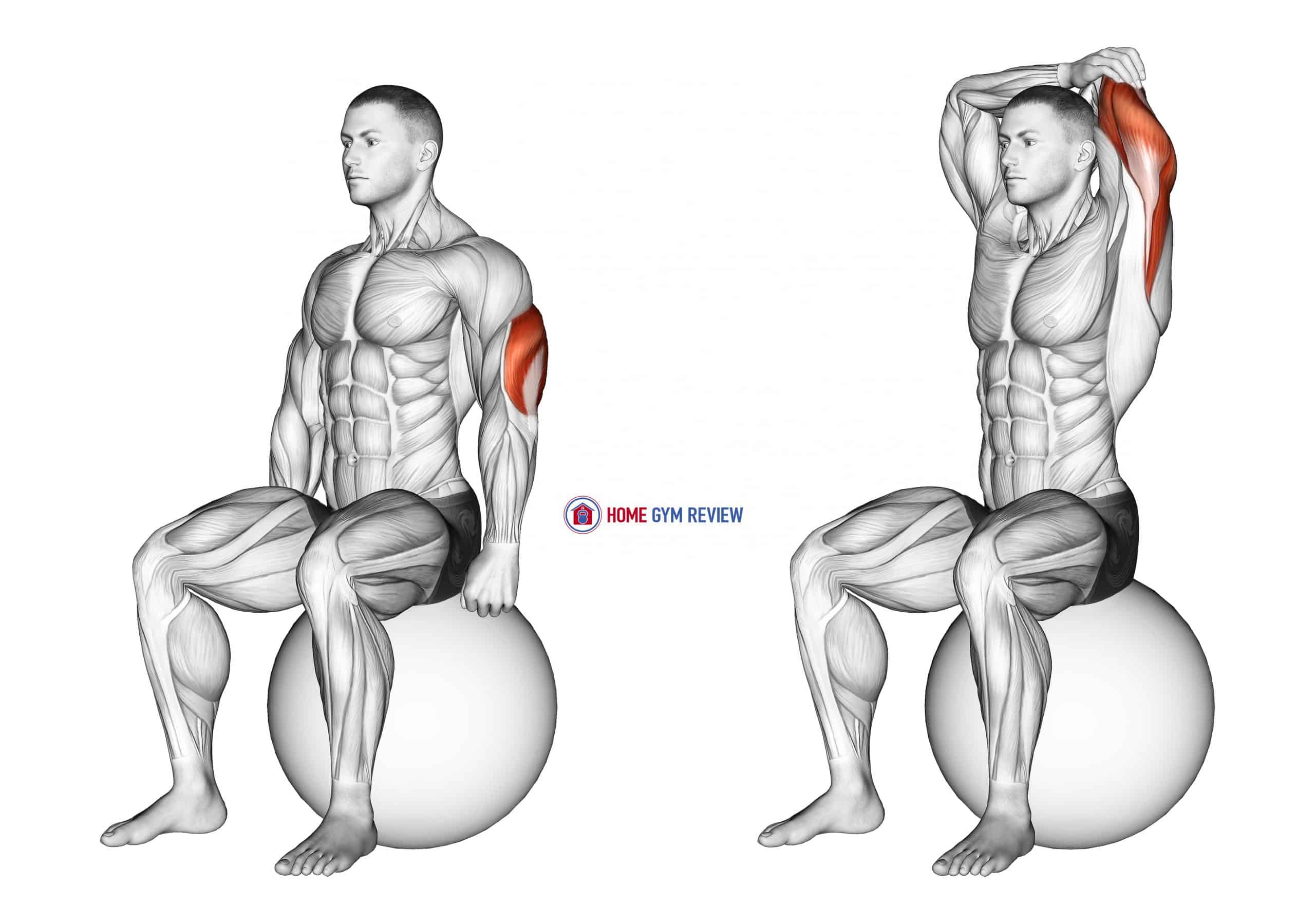 Exercise Ball Seated Triceps Stretch