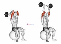 EZ Bar French Press on Exercise Ball