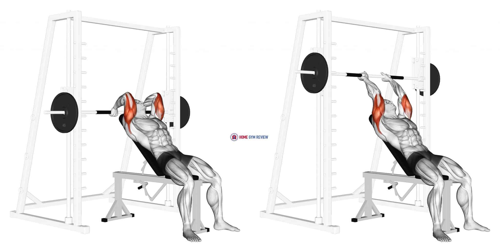 Smith Machine Incline Tricep Extension Home Gym Review