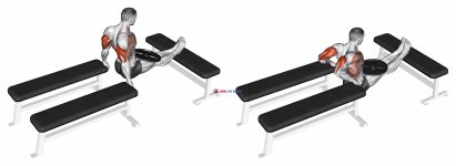 Weighted Three Bench Dips