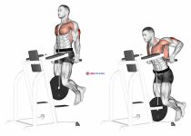 Weighted Tricep Dips