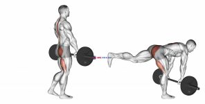 Barbell Single Leg Deadlift