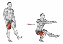Single Leg Squat (pistol) male
