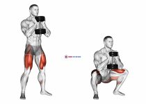 Dumbbell Goblet Squat
