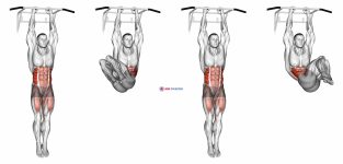 Hanging Oblique Knee Raise