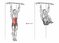 Hanging Leg Hip Raise
