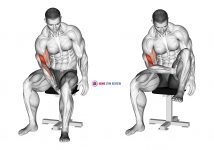 Biceps Leg Concentration Curl