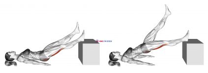 Lying Single Straight Leg Hip Extension