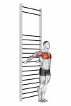 Standing Chest Stretch (with Training Wall Bars)