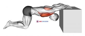 Kneeling Chest Stretch