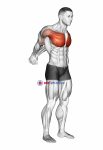 Straight Arms Backward Chest Stretch