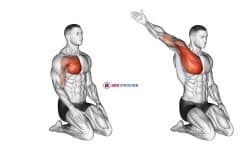 Over Head Straight Arm Stretch