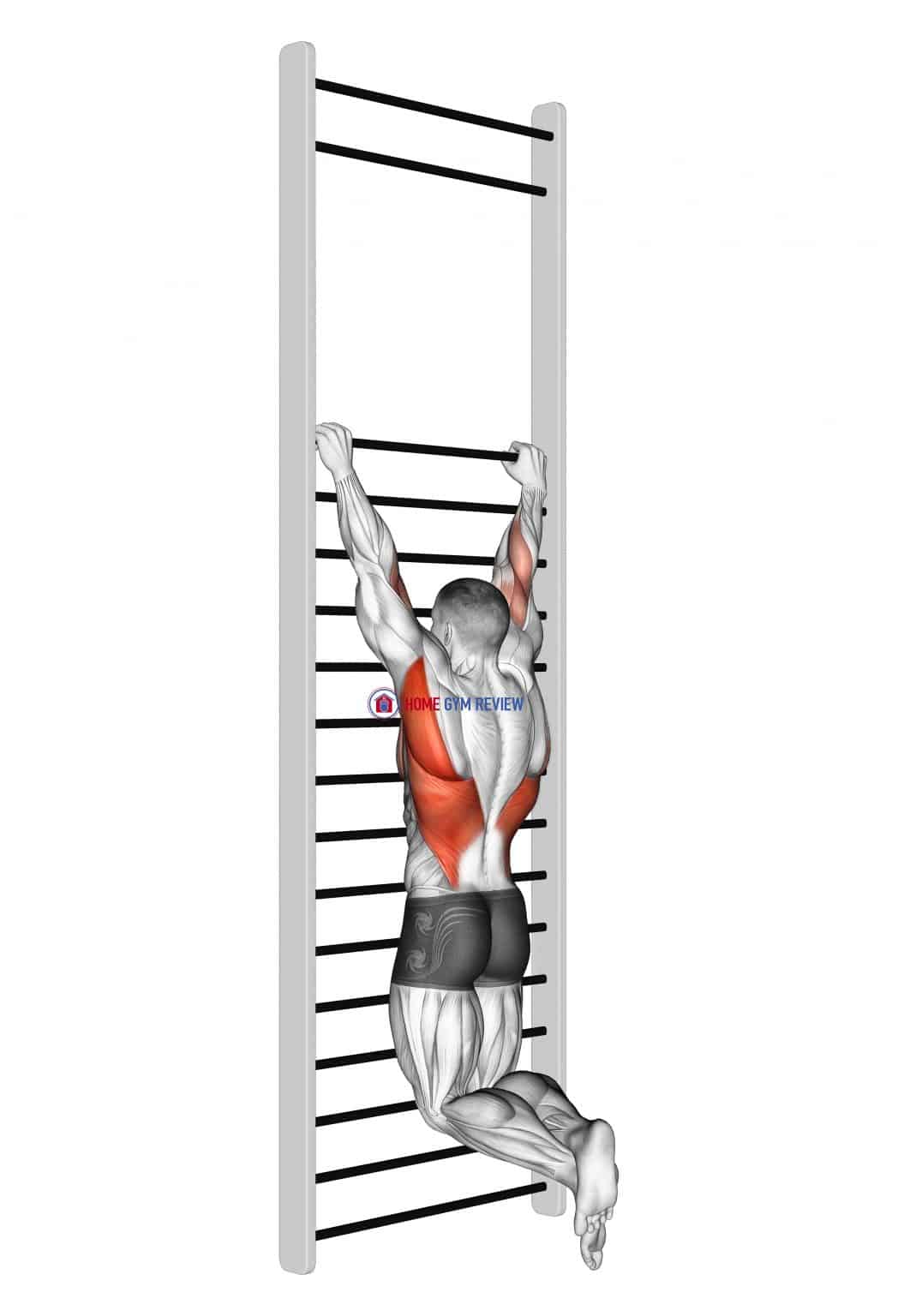 Two handed hang back stretch (with Training Wall Bars) Home Gym Review