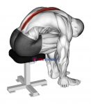 Sitting Lower Trunk Extensor Stretch