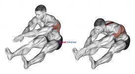 Sitting Bent Over Back Stretch