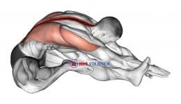 Sitting Side Reach Stretch