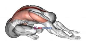 Sitting Crossed Legged Reach Forward Stretch