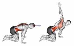 Kneeling Back Rotation Stretch