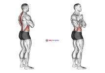 Standing Back Rotation Stretch