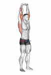 Extension Of Arms In Vertical Stretch