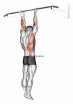 Supination Bar Suspension Stretch