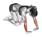 Wrist Radial Deviator And Extensor Stretch